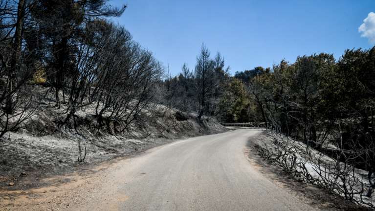 Φωτιές στην Αττική: Ποιοι δρόμοι είναι κλειστοί - Η ενημέρωση της Τροχαίας