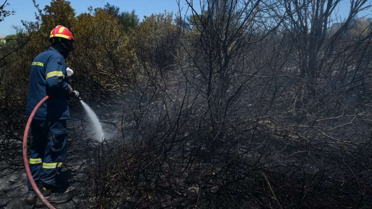 Φωτιά στο Σχιστό Κορυδαλλού - Μεγάλη κινητοποίηση με 50 πυροσβέστες και τρία ελικόπτερα