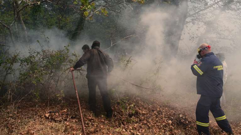 Φωτιά στην Ηλεία - Μεγάλη κινητοποίηση από την πυροσβεστική