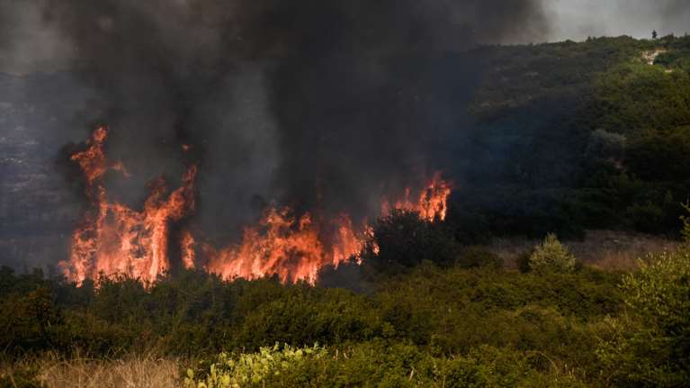 Φωτιά στη Ροδόπη: Καίγεται δασική έκταση - &quot;Σηκώθηκαν&quot; τρία αεροσκάφη