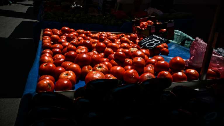 ΟΠΕΚΕΠΕ: Πρώην αντιπεριφερειάρχης Θεσσαλίας πήρε αποζημίωση για ντομάτες που δεν καταστράφηκαν από τον Daniel