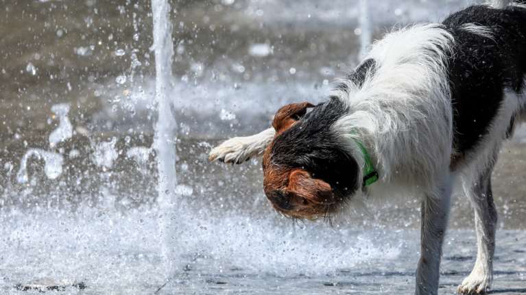 Νέο έκτακτο δελτίο της ΕΜΥ για τον καύσωνα: Ως 42 βαθμούς η θερμοκρασία στην Αθήνα -  Από Σάββατο "κανονικότητα"
