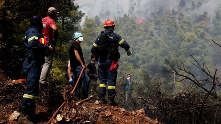 Φωτιά στα Βίλια: Σε ύφεση το πύρινο μέτωπο - Επιχειρούν 220 πυροσβέστες με 64 οχήματα