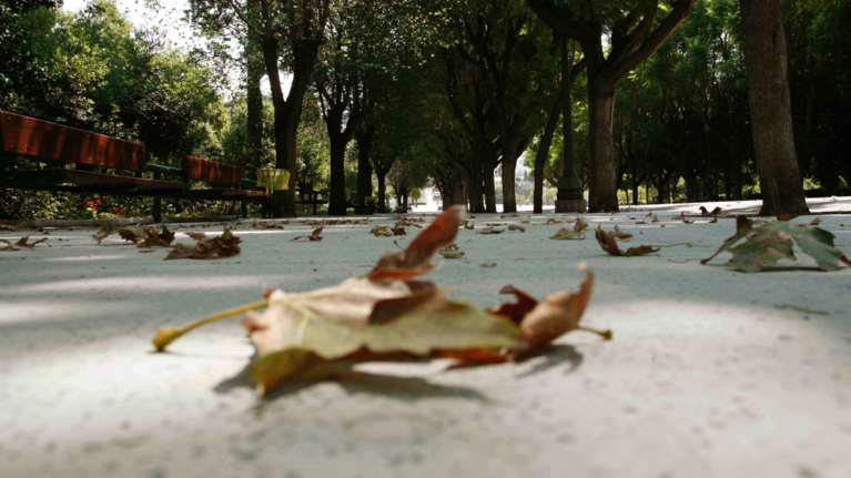 Καιρός: Φθινοπωρινό σκηνικό με πτώση της θερμοκρασίας - Σε ποιες περιοχές θα βρέξει