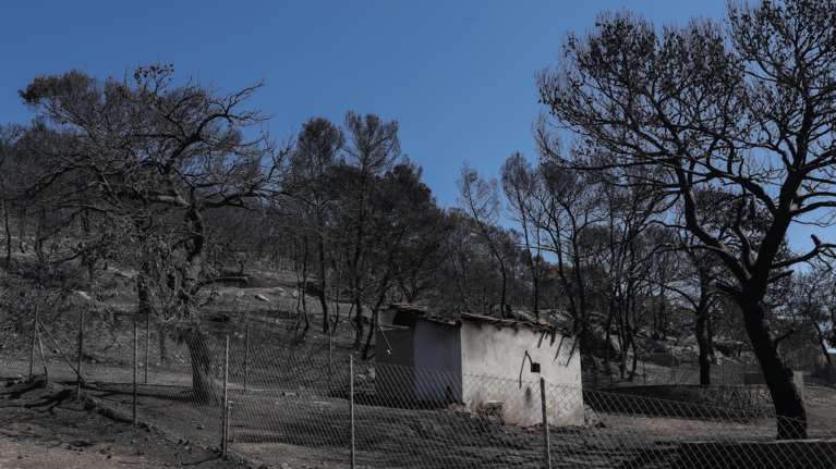 Εντολή Χαρδαλιά: Σε κατάσταση έκτακτης ανάγκης Ανάβυσσος, Παλαιά Φώκαια, Σαρωνίδα, Κερατέα και Καλύβια