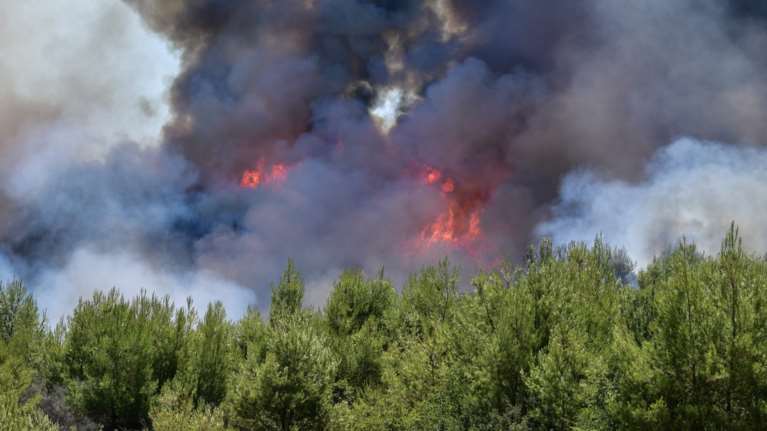 Μεγάλη φωτιά ξέσπασε στα Ρέματα της Άνδρου - Εκκενώθηκαν δύο οικισμοί [βίντεο]