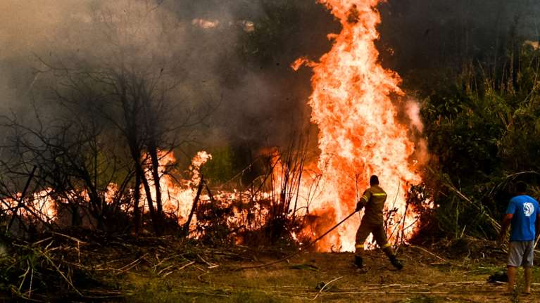 Σε δύο μέτωπα η φωτιά στην Ηλεία: Στάλθηκε 112 για εκκένωση μέσα στη νύχτα - Μεγάλος κίνδυνος για πυρκαγιές και σήμερα