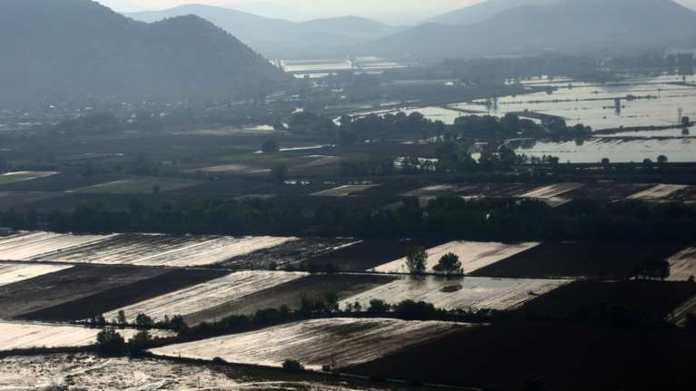 Κακοκαιρίες Daniel-Elias: Αύριο η εκκαθάριση πληρωμών 4,1 εκατ. ευρώ σε κτηνοτρόφους