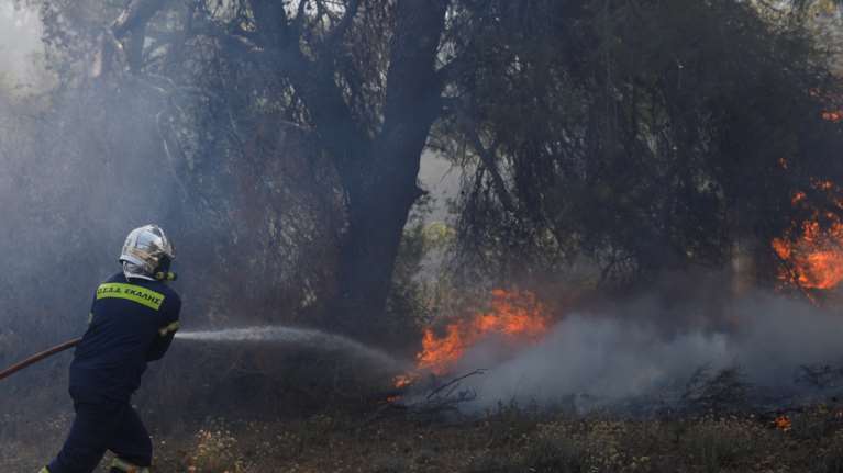 Σε ύφεση η φωτιά στην Πεντέλη: Χωρίς ενεργό μέτωπο - Διάσπαρτες εστίες σε Διώνη, Δασαμάρι, Ντράφι - Κάηκαν 15,5 χιλ. στρέμματα