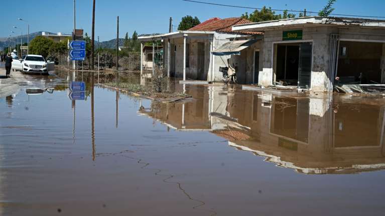 Κακοκαιρία Daniel: Μάχη με τον χρόνο και τις λάσπες στον θεσσαλικό κάμπο - Υγειονομική &quot;βόμβα&quot; τα νεκρά ζώα