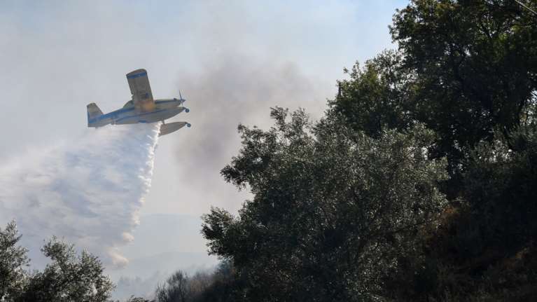 Φωτιά στον Εβρο: Μάχη για να σωθεί το δάσος της Δαδιάς - Μεγάλη επιχείρηση της Πυροσβεστικής, σηκώθηκαν τα εναέρια μέσα