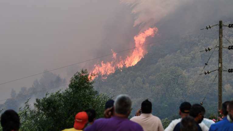 Ολονύχτια μάχη με τις φλόγες στην Ηλεία - Μια ανάσα από τα σπίτια η φωτιά, εκκενώθηκαν τρεις οικισμοί [εικόνες - βίντεο]
