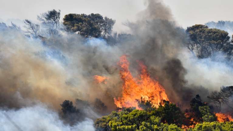 Φωτιά στην Κερατέα - Συναγερμός: Κάηκαν σπίτια, εκκενώνονται Ανάβυσσος και άλλοι οικισμοί [βίντεο]