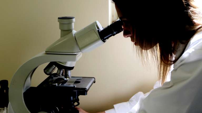 Συναγερμός για την ευλογιά των πιθήκων: Εντοπίστηκε το πρώτο ύποπτο κρούσμα στην Ελλάδα