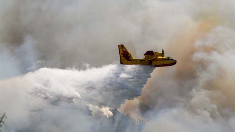 Εβρος: Πύρινη κόλαση στο δάσος της Δαδιάς - Στην κατάσβεση μόνο ενάερια μέσα, οι πυροσβέστες δεν μπορούν να προσεγγίσουν