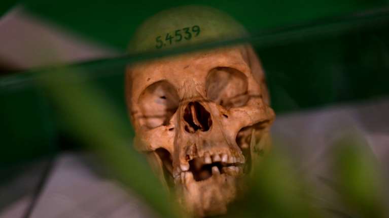 Γερμανία: Αναγνωρίζει για πρώτη φορά ότι διαπράχθηκε "γενοκτονία" στη Ναμίμπια