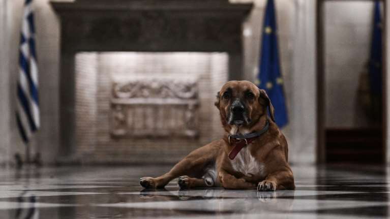 Ο Μητσοτάκης στο TikTok θυμήθηκε πώς τον... διάλεξε ο Πίνατ: Είναι σταρ... [βίντεο]