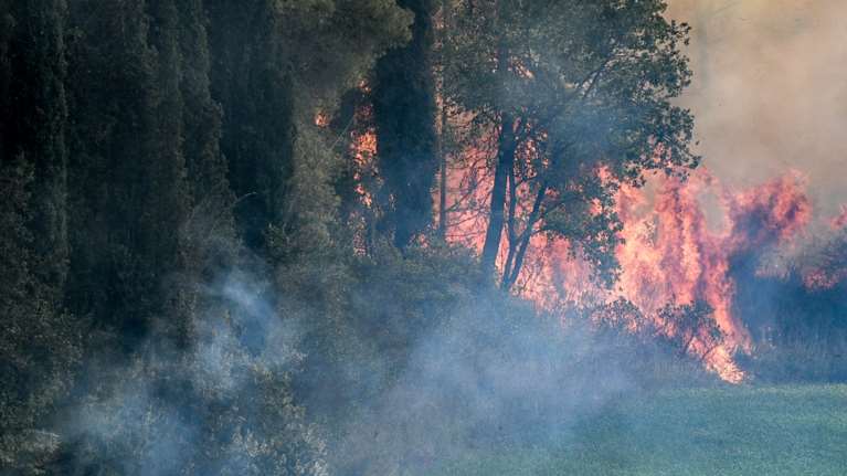 Αντιμέτωπη με τρία πύρινα μέτωπα η Ηλεία: Στα σπίτια οι φλόγες - Ήχησε το 112 [εικόνες-βίντεο]