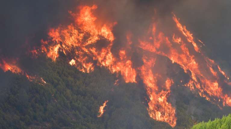 Φωτιά στην Αρχαία Ολυμπία: Μόλις ένα χιλιόμετρο μακριά οι φλόγες - Αγωνία για τον αρχαιολογικό χώρο [εικόνες]