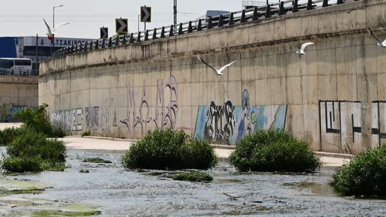 "Ο Κηφισός ασφυκτιά από το τσιμέντο": Προειδοποίηση Λέκκα για τον κίνδυνο πλημμυρών στην Αττική