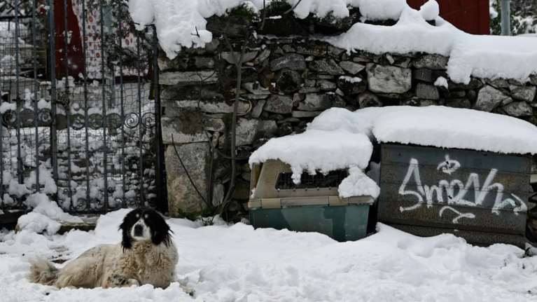 &quot;Πολική μπάλα&quot; θα χτυπήσει την Ελλάδα, προειδοποιεί ο Μαρουσάκης - Ποιες θα είναι οι πιο δύσκολες μέρες στην Αθήνα