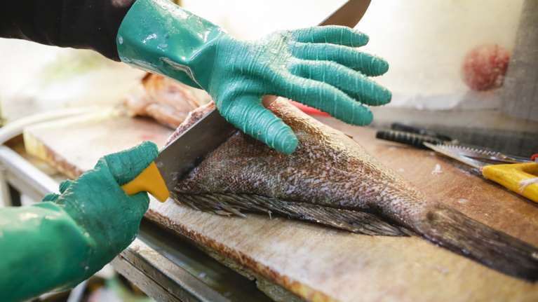 Πόσο ασφαλές είναι να τρώμε τόνο σε κονσέρβα - Ανησυχία μετά τη νέα έρευνα για τον υδράργυρο