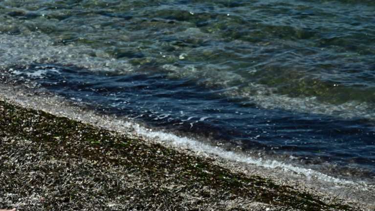 Π. Φάληρο: Ανατροπή με το τρίχρονο κοριτσάκι - Σε πνιγμό αποδίδεται ο θάνατός της, μυστήριο η ταυτότητά της