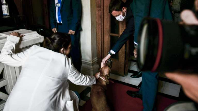 Ο Πίνατ έκανε "παρέμβαση" στη συνέντευξη Τύπου του Μητσοτάκη με τον Χέγκερ [βίντεο]