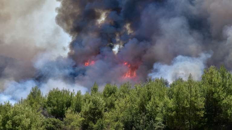 Συναγερμός στην Ηλεία: Νέα μεγάλη φωτιά στα Ζαχαραίικα - Ισχυροί άνεμοι στην περιοχή