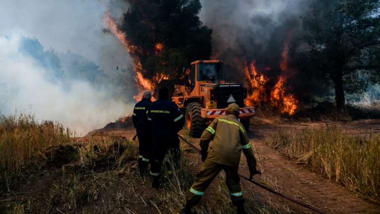 Φωτιά στον Σχίνο: Νέα αναζωπύρωση - Εκκενώθηκε ο οικισμός Παπαγιαννέικα κοντά στα Μέγαρα