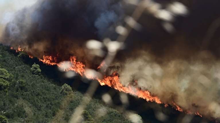 Φωτιά στη Φθιώτιδα: Εκκενώνεται η Κάτω Τιθορέα - Μήνυμα από το 112