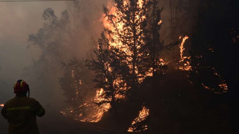 Νέα φωτιά στην Αττική: Πυρκαγιά σε χαμηλή βλάστηση στα Καλύβια Θορικού