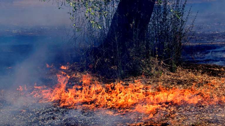 Φωτιά σε Λακωνία και Ηλεία - Συναγερμός στην Πυροσβεστική