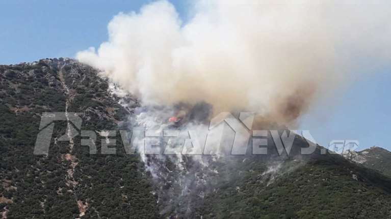 Φωτιά στην Πρέβεζα: Μεγάλη κινητοποίηση της πυροσβεστικής σε δύσβατη περιοχή [Εικόνες]