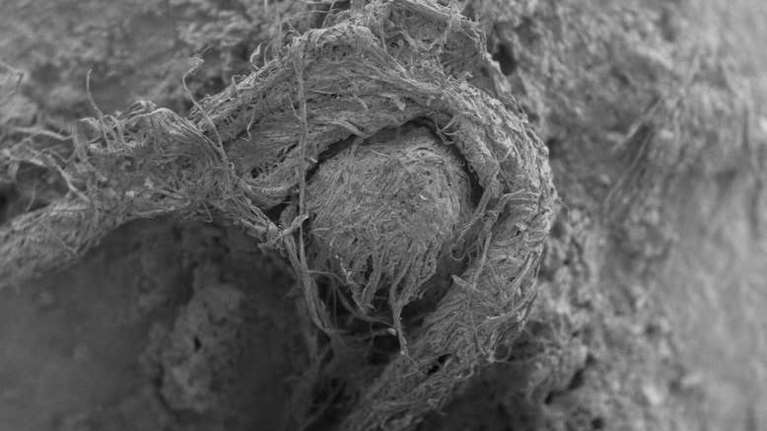 Ανακάλυψη: Αυτό είναι το αρχαιότερο σκοινί ηλικίας 50.000 ετών των Νεάντερταλ