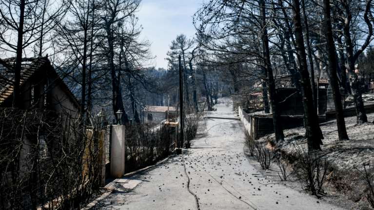 Δημοσιεύτηκε η ΠΝΠ για τις πυρόπληκτες περιοχές: Αναδασώσεις στα καμένα και μέτρα στήριξης για τους πληγέντες
