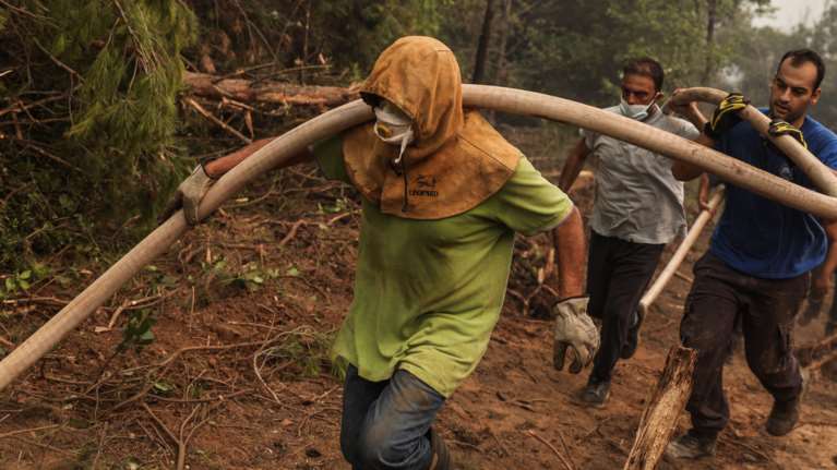 Φωτιά Εύβοια: Προσαγωγή υπόπτου για εμπρησμό στο Ασμήνιο