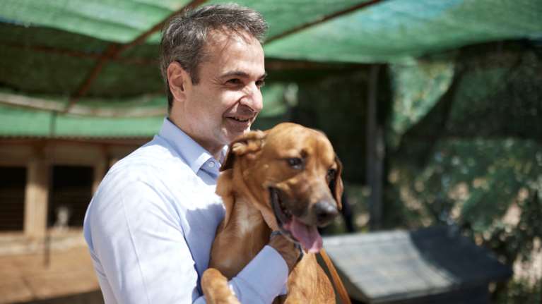 Ο Μητσοτάκης στο καταφύγιο ζώων της Ηλιούπολης - Το μήνυμά του για την Παγκόσμια Ημέρα Αδέσποτων [εικόνες-βίντεο]