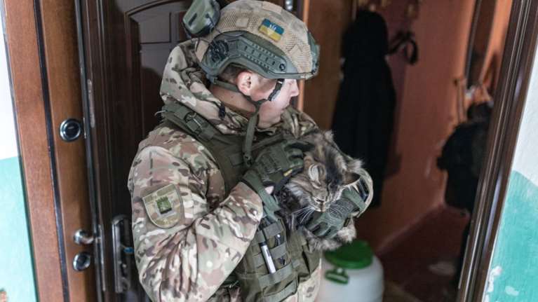 Η αγάπη των Ρώσων στις γάτες &quot;όπλο&quot; στα χέρια των Ουκρανών- Παγιδεύουν χώρους με ηχογραφημένα νιαουρίσματα