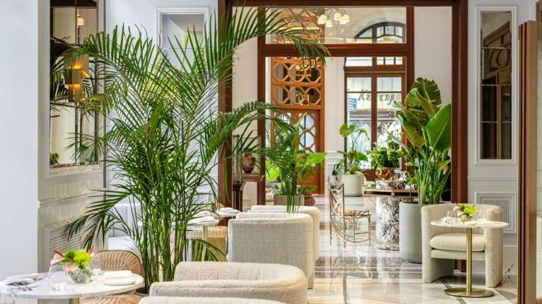 Κοσμοπολίτικες γιορτές με το πνεύμα Jolly Dolli: Φέτος τα Χριστούγεννα στην Αθήνα θα είναι μαγικά στον κόσμο του The Dolli