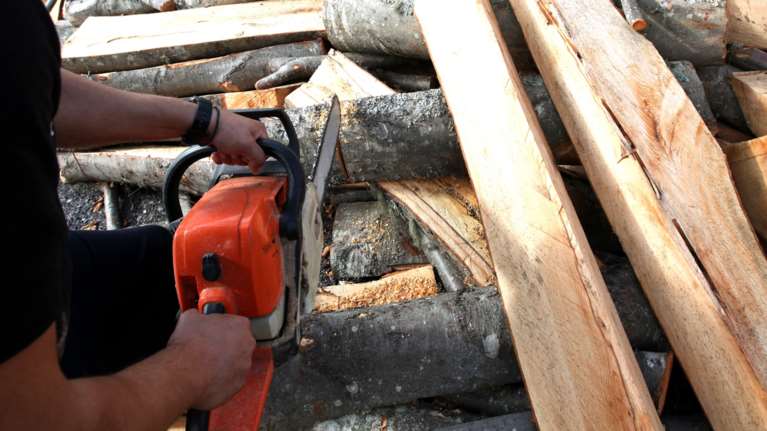 Μυστήριο στη Βόλβη: Νεκρός 51χρονος από αλυσοπρίονο - Τον άφησε αβοήθητο και πέταξε το κινητό του