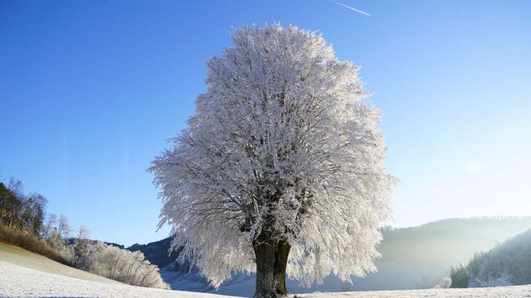 Ξεκινάει και επίσημα ο χειμώνας: Το βράδυ της Τετάρτης η μεγαλύτερη νύχτα του χρόνου