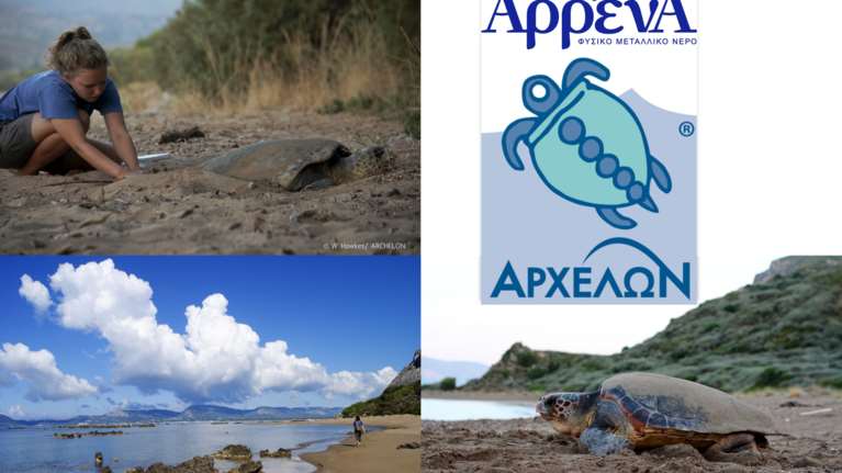 Μία φυσική συμμαχία -Το Φυσικό Μεταλλικό Νερό ΑρρένΑ δίπλα στην Caretta caretta