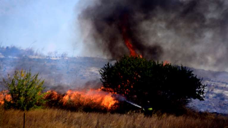 63 δασικές πυρκαγιές σε μια μέρα - Μεγάλη κινητοποίηση για την φωτιά στον Άγιο Νικόλαο Κρήτης