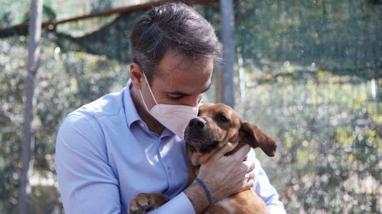 Μητσοτάκης για τα ζώα συντροφιάς: Προστατεύουμε τους μικρούς μας φίλους - Σε διαβούλευση το νομοσχέδιο