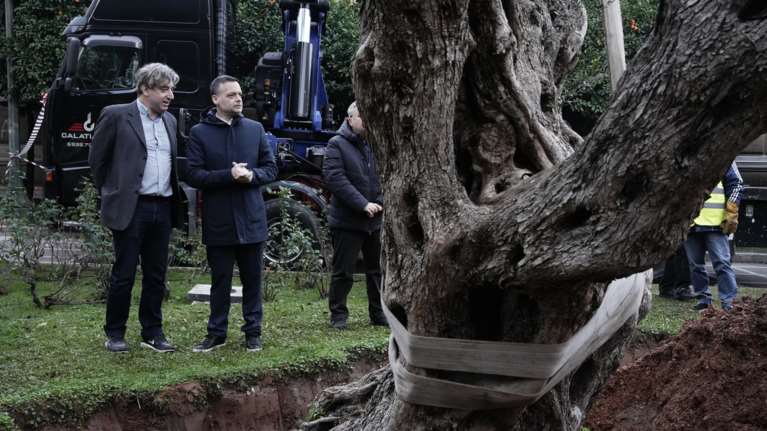 Ο Χάρης Δούκας μεταφύτευσε υπεραιωνόβια ελιά 700 ετών έξω από την παλιά Βουλή [εικόνες]