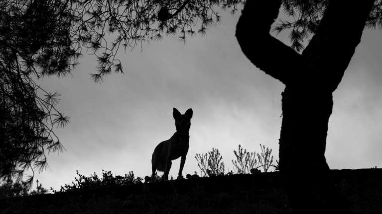 &quot;Εν κινήσει vol 3&quot;: Η έκθεση φωτογραφίας που γεμίζει ξανά με εικόνες τον Βοτανικό