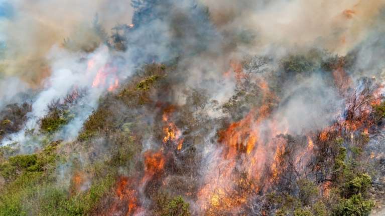 Σαμοθράκη: Πυρκαγιά σε δασική έκταση στους Άνω Καρυώτες - Μήνυμα του 112 για ετοιμότητα