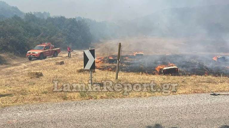 Λαμία: Δασική πυρκαγιά στη Μακρακώμη - Πνέουν δυνατοί άνεμοι [εικόνες]