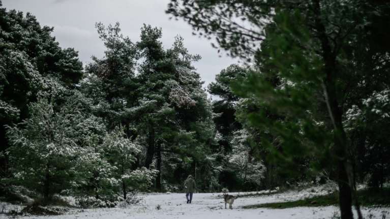 Κακοκαιρία Ελπίς: Πολικές θερμοκρασίες στην Αττική - Το χιόνι &#39;&#39;σκέπασε&#39;&#39; τα Βίλια [Βίντεο]